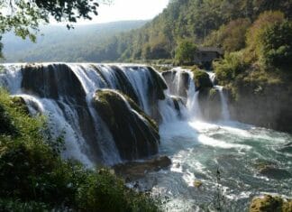 Privileges of the Communist Rulers in Bulgaria