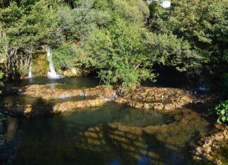 The Sultan’s Strange Relationship with Modern Technology