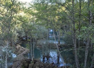 The Fez Factory in the Village