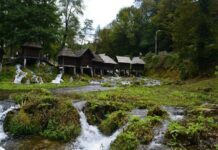 A Fixed Assumption That Led to Error