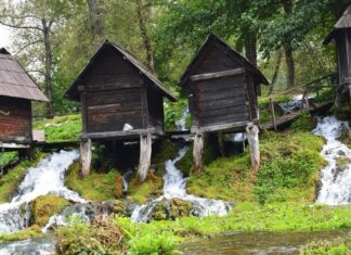 The True Location of the Cyclobion